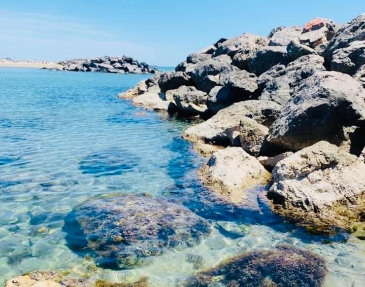 Appartamento Le cosy des Goélands Frontignan Esterno foto